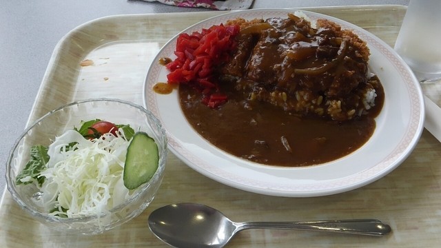ばるーん 東部運転免許センター店 下土狩 定食 食堂 食べログ