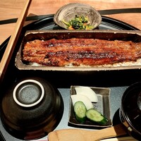 うなぎ四代目菊川 ミッドランドスクエア 名古屋本店 - 一本