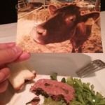 エノテカ・オルモ・デル・カウカソ - この可愛いお目々の牛ちゃんが・・・。