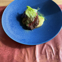 GLICINE di ACQUA PAZZA - 