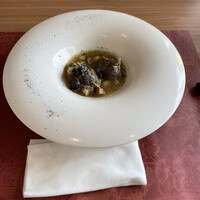 GLICINE di ACQUA PAZZA - 