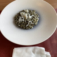 GLICINE di ACQUA PAZZA - 