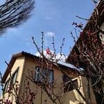 アルバトロス - 