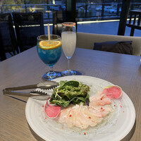 COLONIAL BEACH 横浜ハンマーヘッド - 