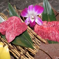 北新地焼肉 きらく - 