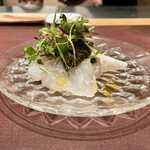 イル アオヤマ - 