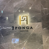 PONGA PREMIUM - 