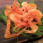 伊藤家のつぼ STAND SUSHI BAR - 海老ちゃん！(2013/5)