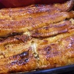 川京 - うな重アップ