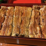 Unagi Kanona - 