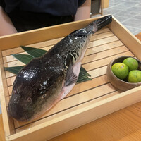 とらふぐ専門 ふぐ中俣 - 