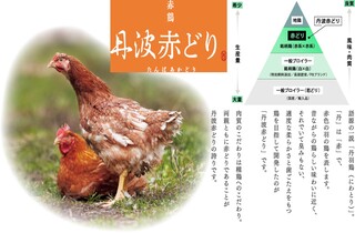h Oreno Yakitori - 兵庫県「丹波山本の赤鶏」