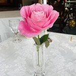 マダム・トキ - ◆ピンクの薔薇