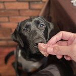 ステーキハウスニューテキサス - 