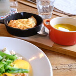 ペディビュス ジャンビュス - 