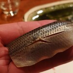 ともえ寿司 - しめ鯖