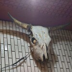 一条流がんこ総本家分家四谷荒木町 - 