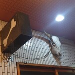 一条流がんこ総本家分家四谷荒木町 - 