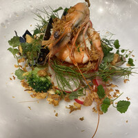 FaRo Italiano - 