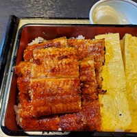炭焼きうなぎ・かしわ 登河 - 