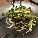 Nouvelle Ethnique ATHA - 