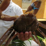 一本杉 川嶋 - 加能ガニ