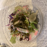 ロシア料理 チャイカ - 