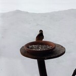 くつきそば 永昌庵 - 