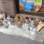 信濃路 - うさちゃん