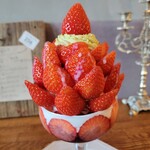 256nicom - parfait"苺の木"