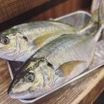 会津馬刺し 炭火焼鳥 門前仲町 彦酉 - 