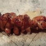 鶏一途 - 2013年6月。おすすめ5種。食道。コリコリ。