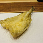 Tempura Miyashiro - 