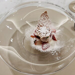 Maison DIA Mizuguchi - イチゴ・ココナッツブランマンジェ・カシスアイス