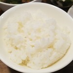 キッチン ブルー グローブ - ご飯大盛りのアップ