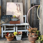 天然こうぼぱん とことこ - 自称、フラフープの達人、悪魔で自称やからね(*⁰▿⁰*)