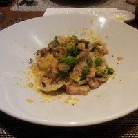オッジ ダルマット 西麻布店 - 