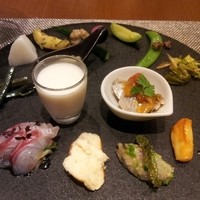 オッジ ダルマット 西麻布店 - 