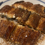 Unagi No Shimpo - 