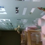 ストラスヴァリウス - 外との壁というかガラスが模様になってて楽しげ