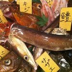 Takumi - 朝獲れの魚介類