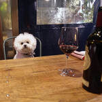 エビスエスクラッシコ - マージに決定〜♬