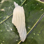 地魚料理・鮨 佐々木 - アオリイカ