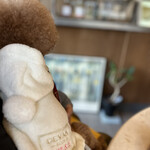 PARKER COFFEE STAND - シェリの後ろ姿ｗ