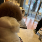 PARKER COFFEE STAND - いつもと違う席でｗ