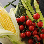 はがじぞう - 高知の野菜　「はがじぞう」では地産地消を掲げ、高知で獲れた新鮮な旨いもんを、高知で食べて頂きたいと願ってます。是非とも高知の野菜、魚(カツオ、鯛、鯖、ウツボ 等)、肉(土佐赤牛、土佐ジロー等)を「はがじぞう」でご賞味ください。