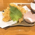 のみどころ いごこち - 鳥天❤︎