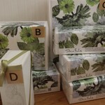 シンフラ - ギフト