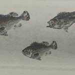 一期一会 よねさん - 