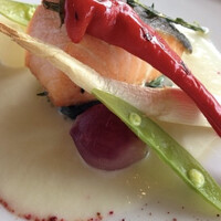 Mar Rosso - 